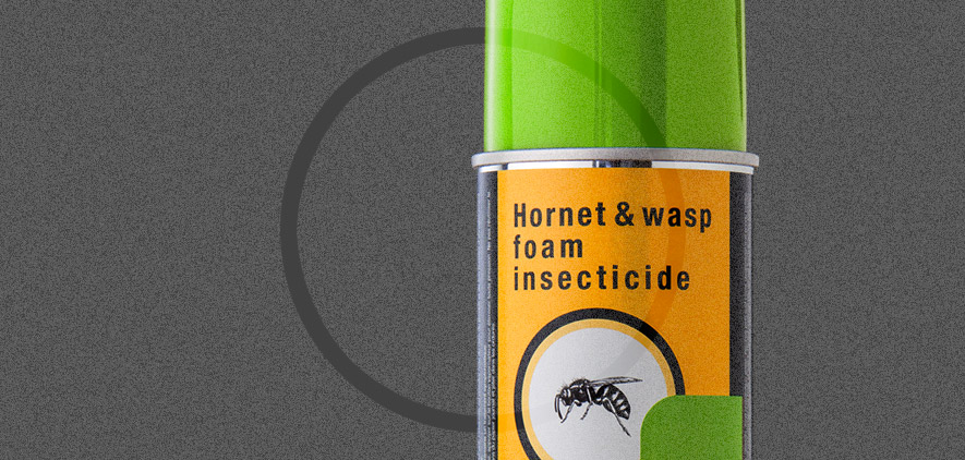  Hornet and Wasps Foam Insecticide